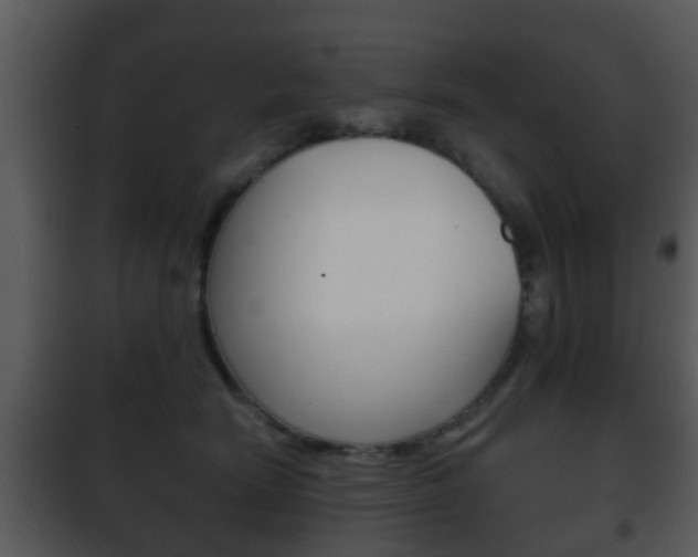 X0000101980466200807180804