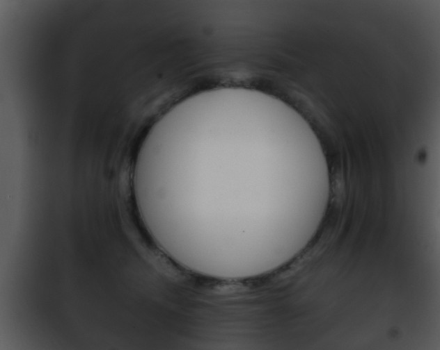 X0000101980468200807180804