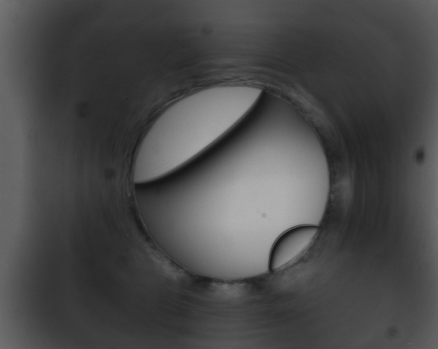 X0000101980469200807180804