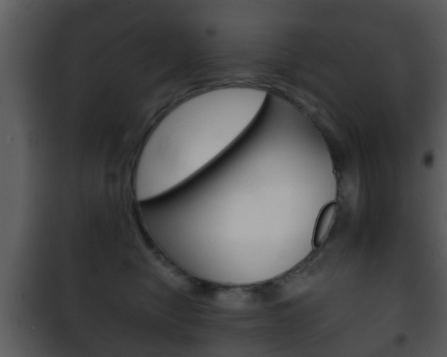 X0000101980470200807180804