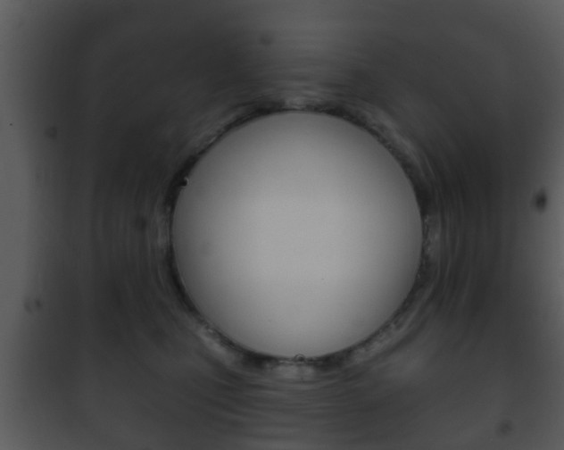 X0000101980471200807180804