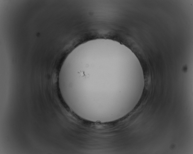 X0000101980472200807180804
