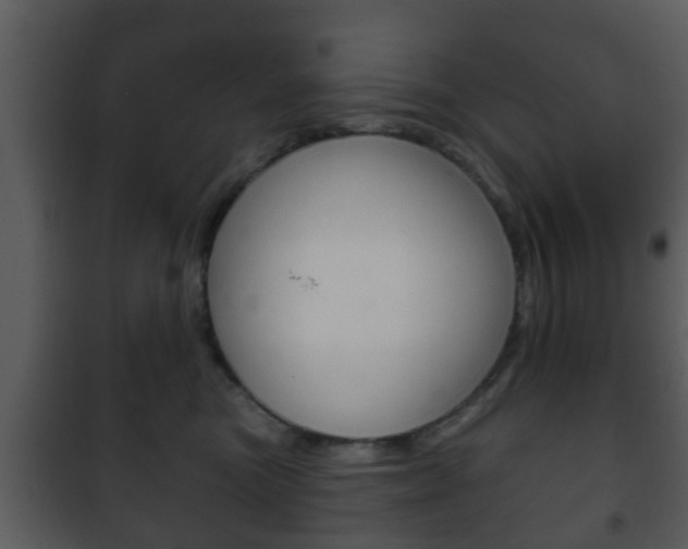X0000101980473200807180804