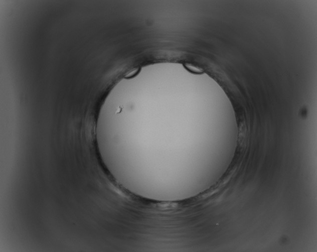 X0000101980474200807180805