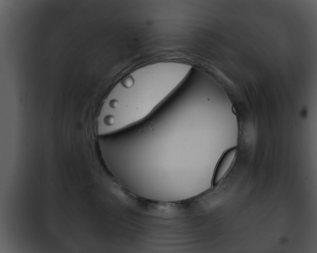 X0000101980475200807180805