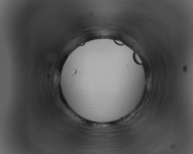 X0000101980476200807180805