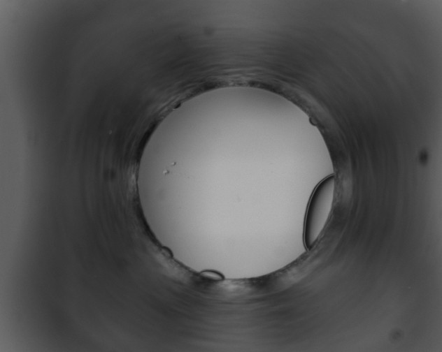 X0000101980477200807180805