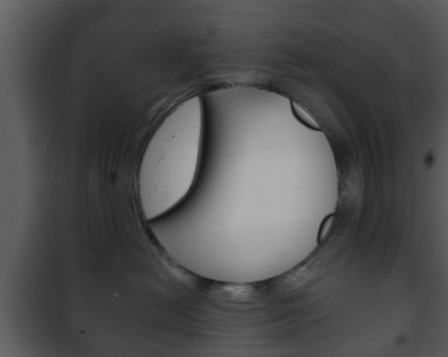 X0000101980478200807180805