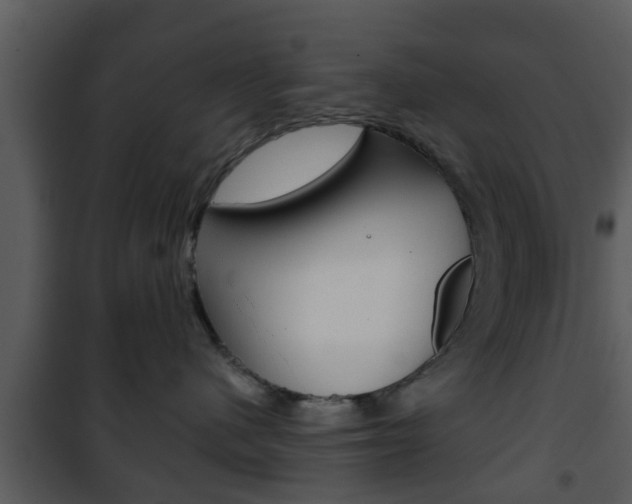 X0000101980480200807180805