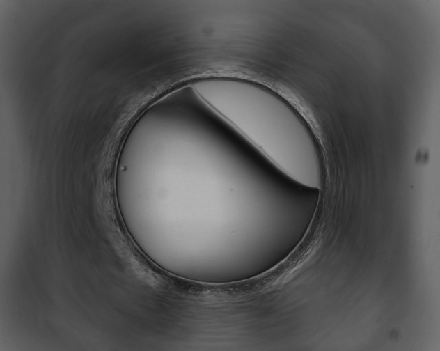 X0000101980481200807180804