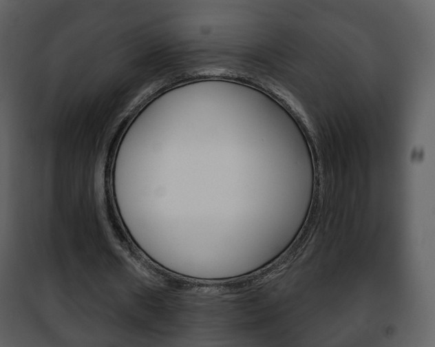 X0000101980482200807180804