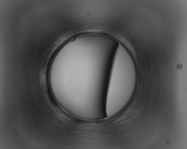 X0000101980483200807180804