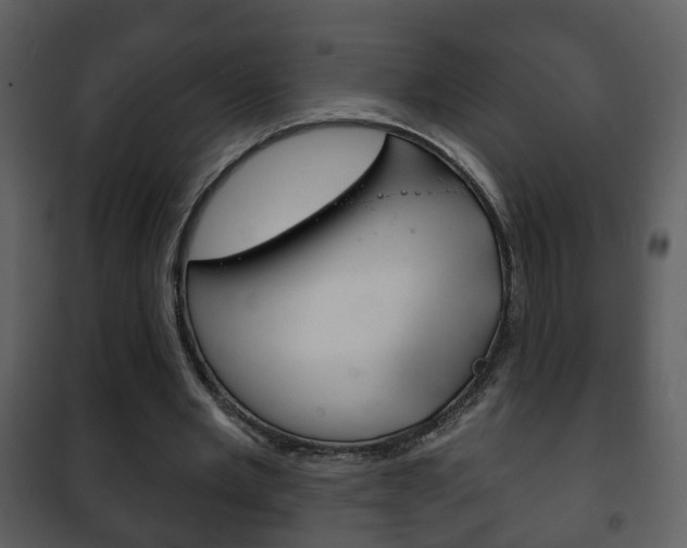 X0000101980485200807180804