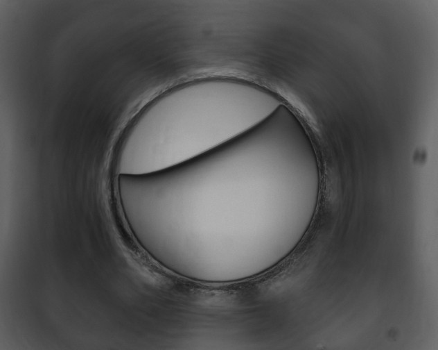 X0000101980486200807180804