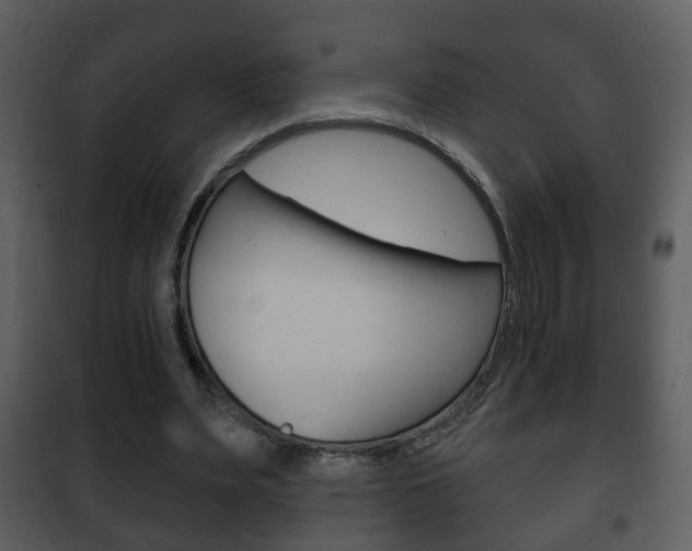 X0000101980487200807180804
