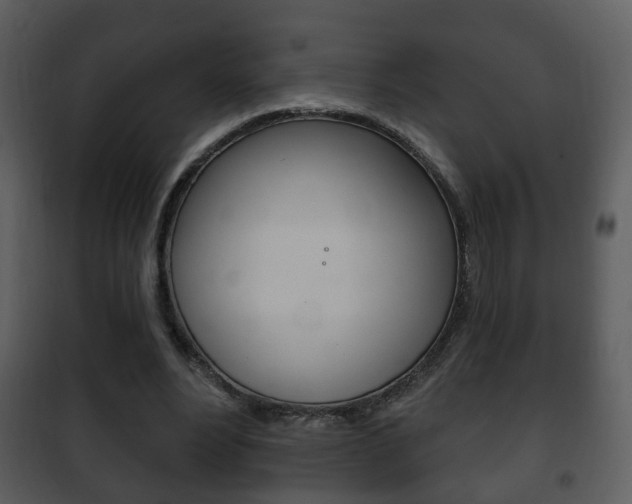 X0000101980488200807180804
