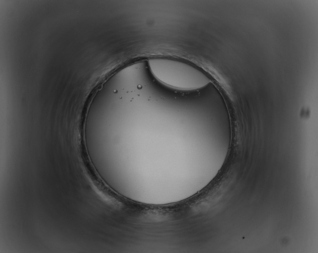 X0000101980489200807180804