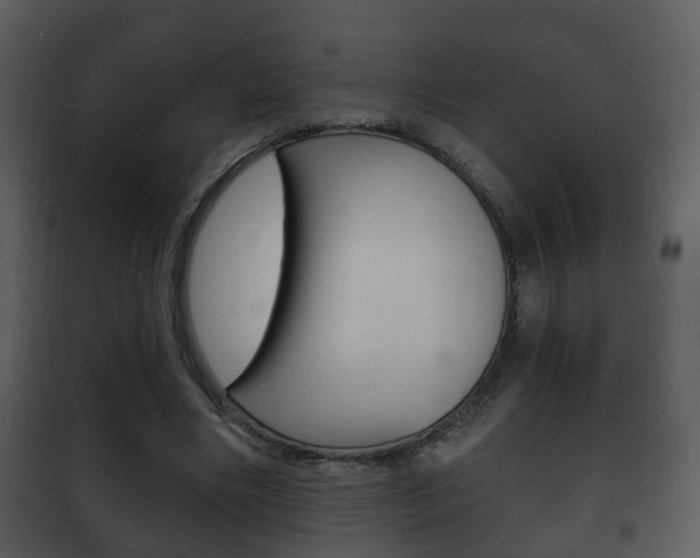 X0000101980490200807180804