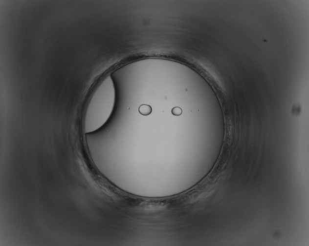 X0000101980491200807180804
