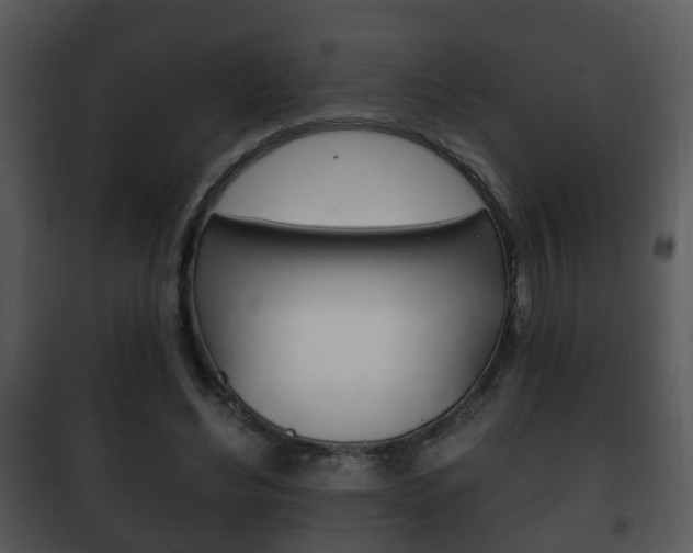 X0000101980492200807180804