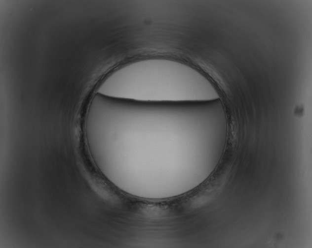 X0000101980494200807180804