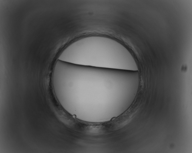 X0000101980495200807180804