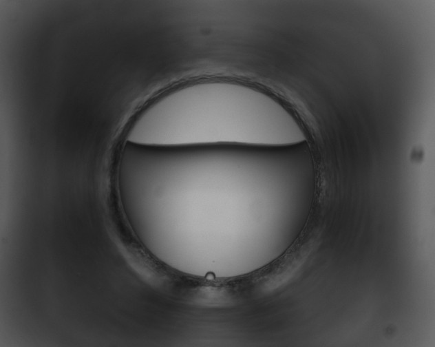 X0000101980496200807180804