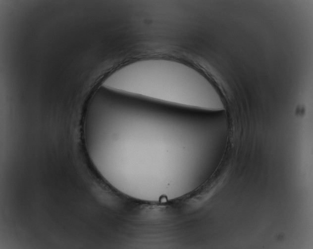 X0000101980497200807180804