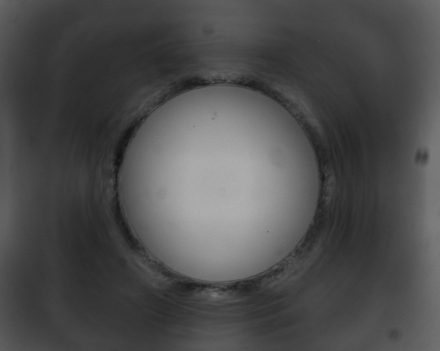X0000101980498200807180804