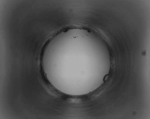 X0000101980500200807180804