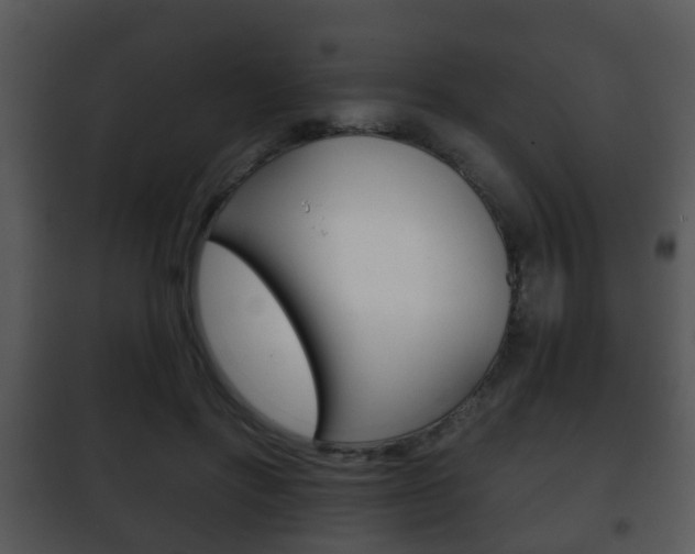 X0000101980502200807180804