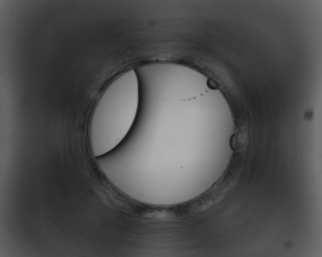 X0000101980503200807180804