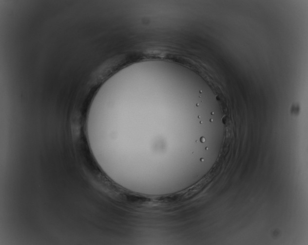 X0000101980504200807180804
