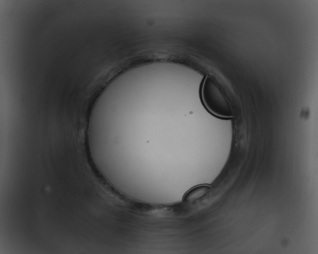X0000101980505200807180804