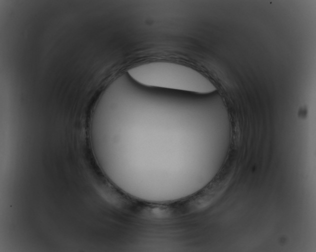 X0000101980506200807180804