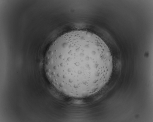 X0000101980507200807180804