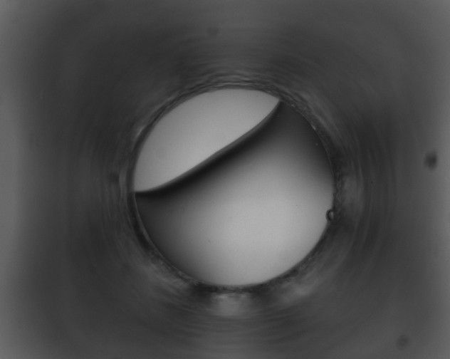 X0000101980508200807180804