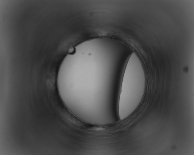 X0000101980509200807180803
