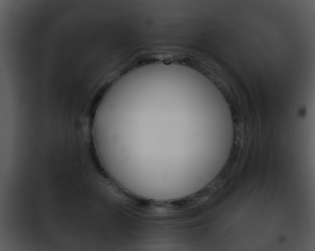 X0000101980510200807180803