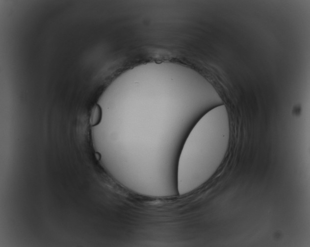 X0000101980511200807180803