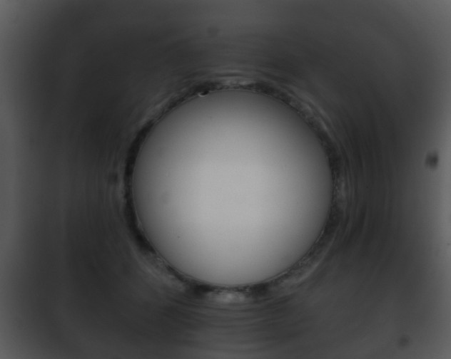 X0000101980512200807180803