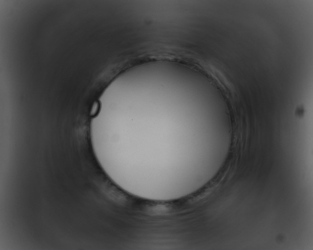 X0000101980513200807180803