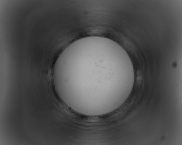 X0000101980514200807180803