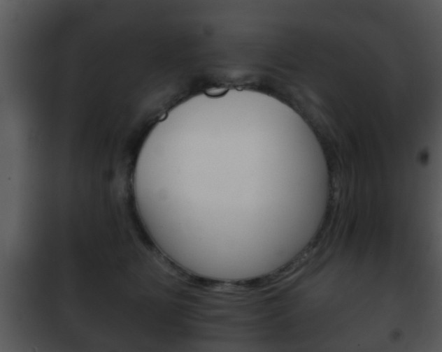 X0000101980515200807180803