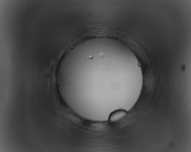 X0000101980516200807180803