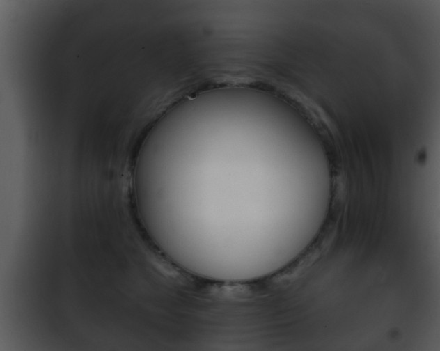 X0000101980517200807180803