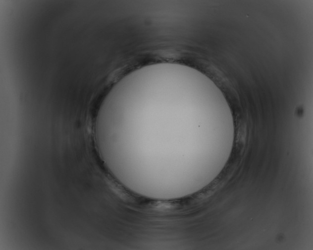 X0000101980518200807180803