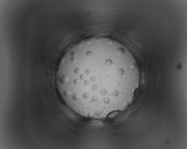 X0000101980519200807180803
