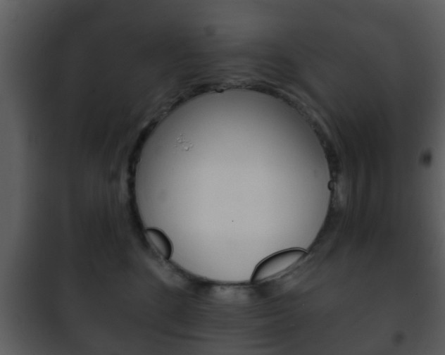 X0000101980520200807180803