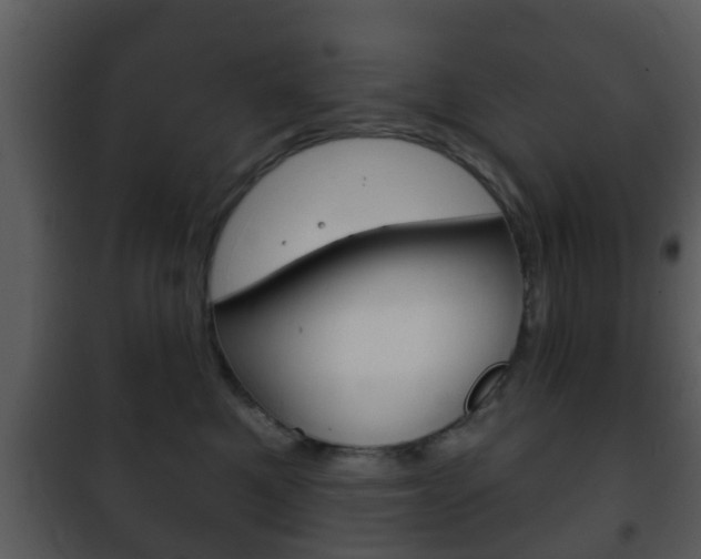 X0000101980521200807180803